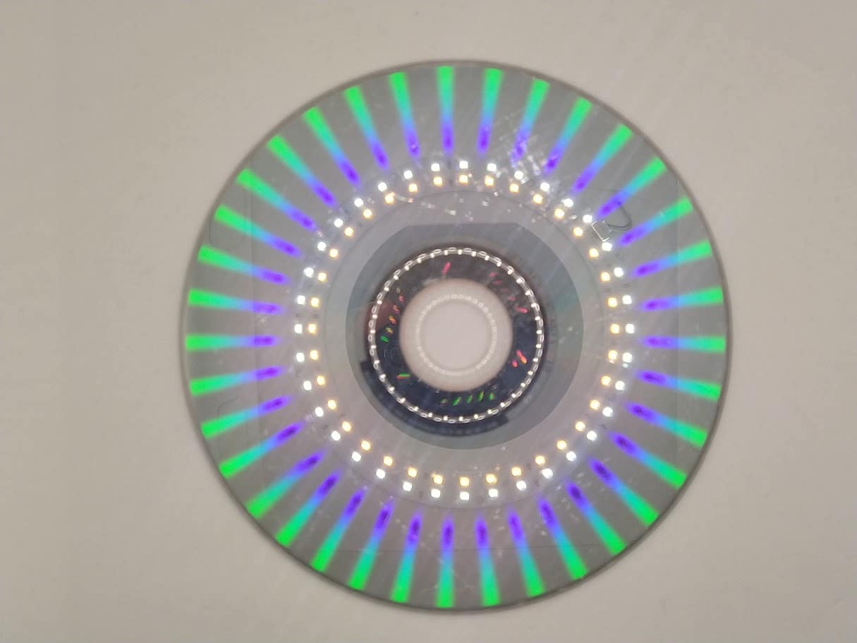 Ty el tigre de Tasmania - Imagen 5